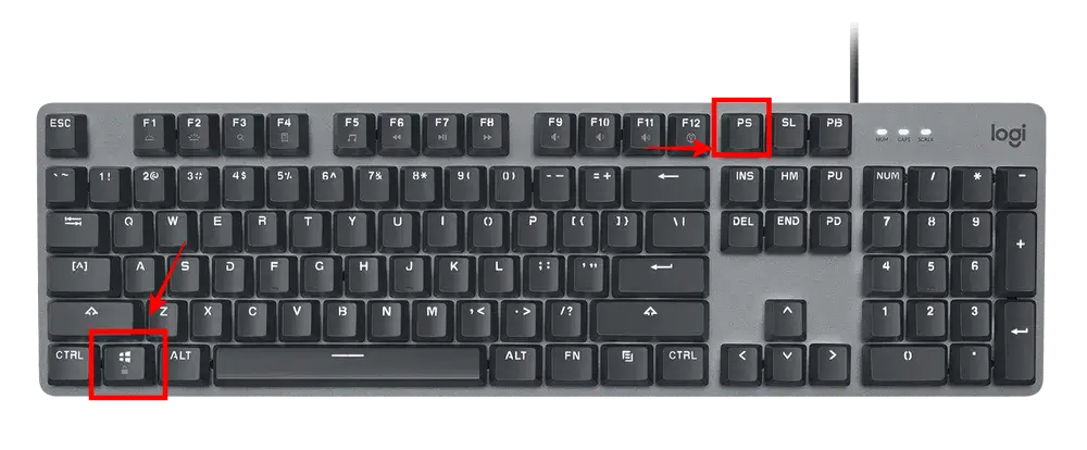 윈도우 키+Print Screen