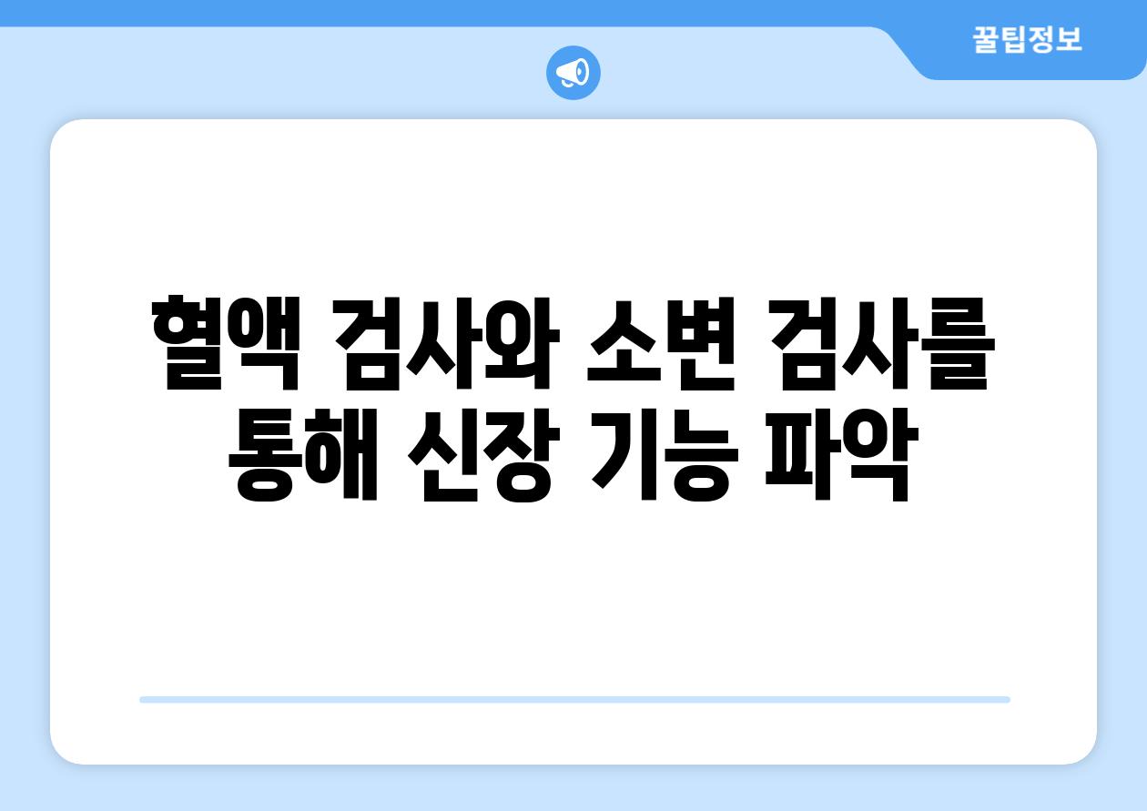 혈액 검사와 소변 검사를 통해 신장 기능 파악