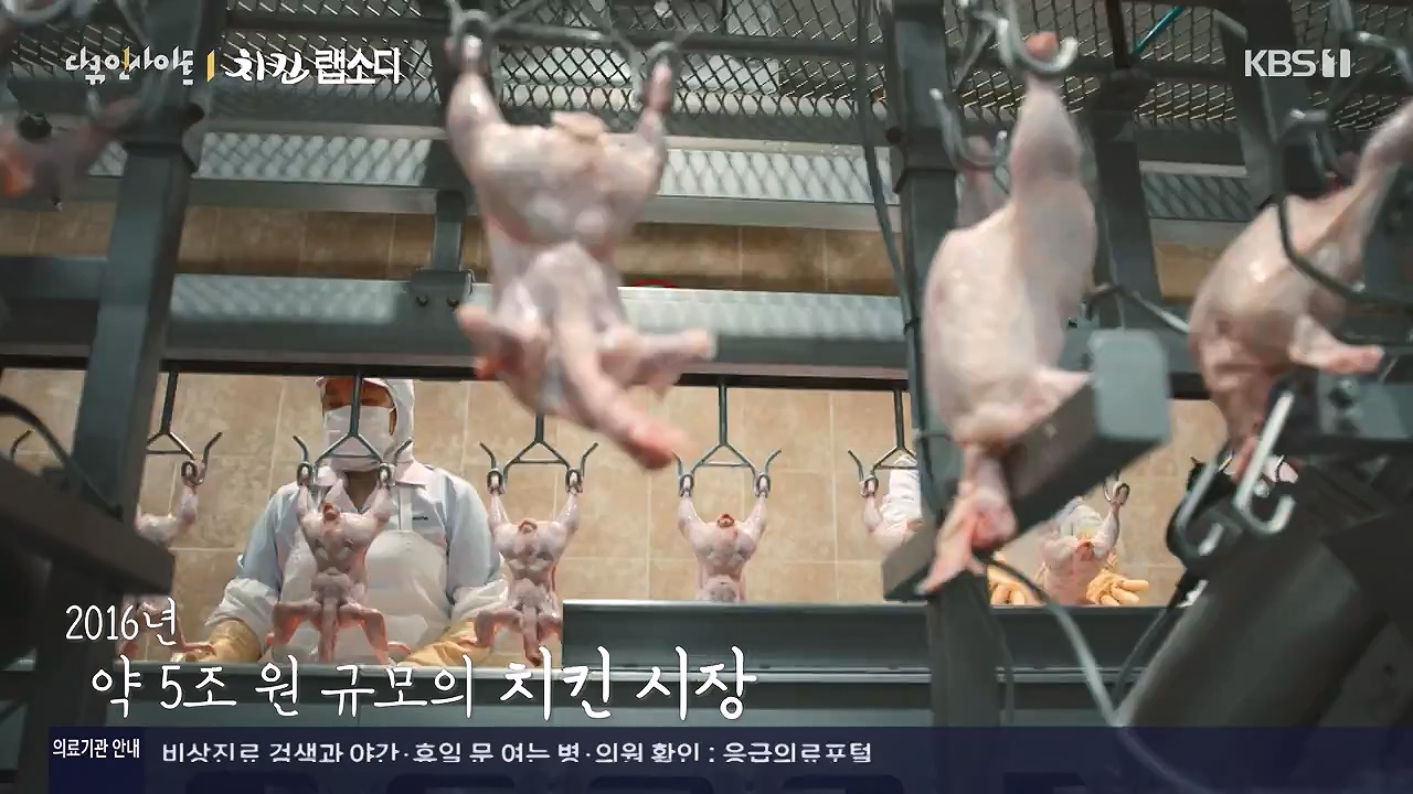 다큐 인사이트.E190.240531p-NEXT.mp4_20240531_210108.278.jpg