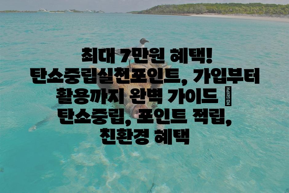 샘플 (1)