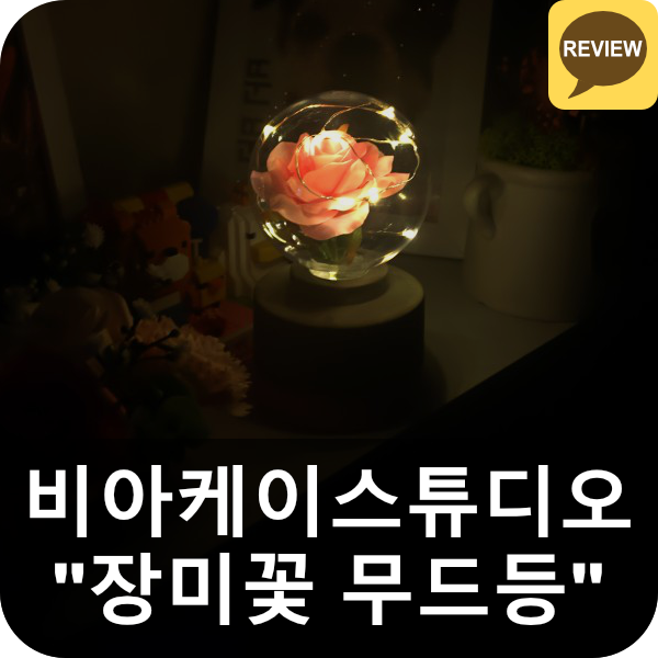  비아케이스튜디오 장미 LED 무드등 리뷰 (플라워조명)