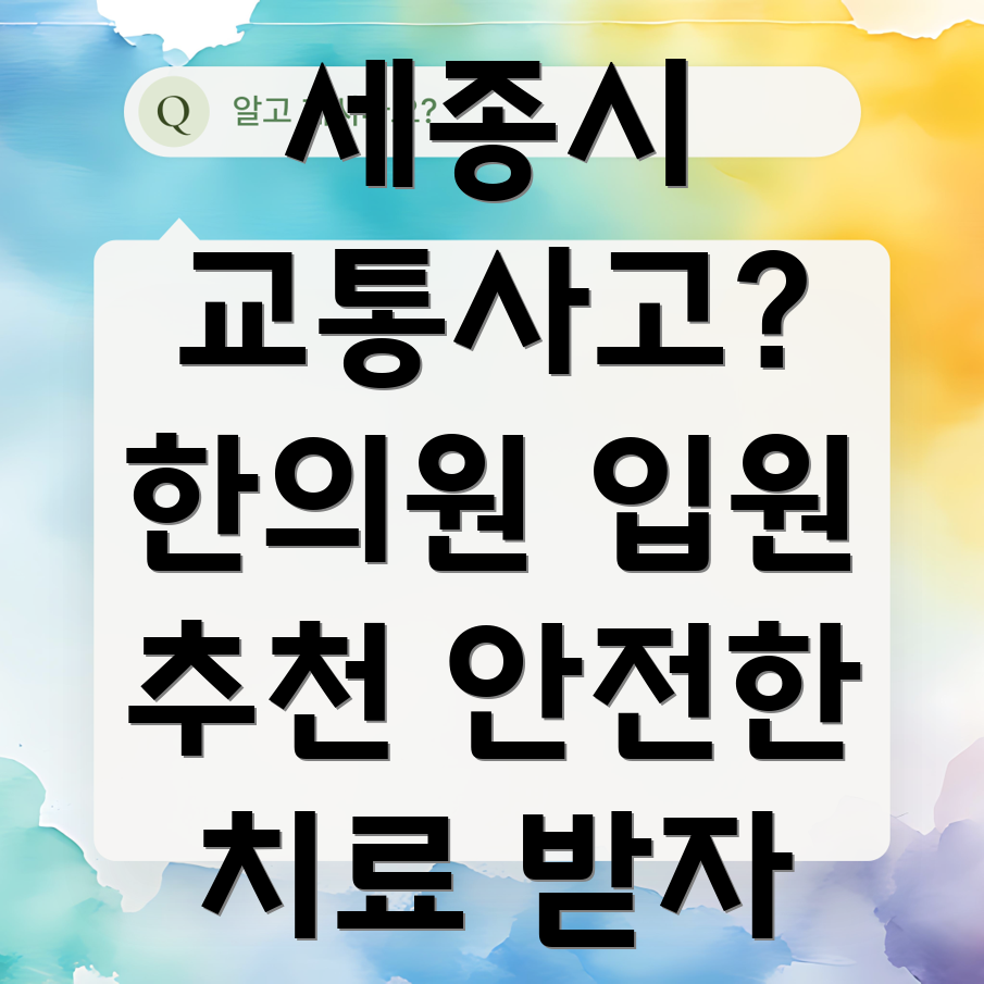 세종시 연동면 교통사고 한의원