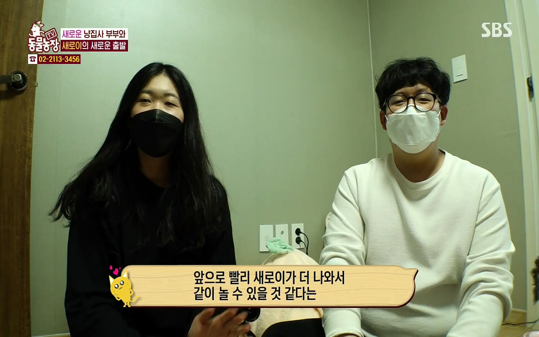 TV 동물농장.E1066.220424p.H264-F1RST.mp4_20220424_201033.729.jpg