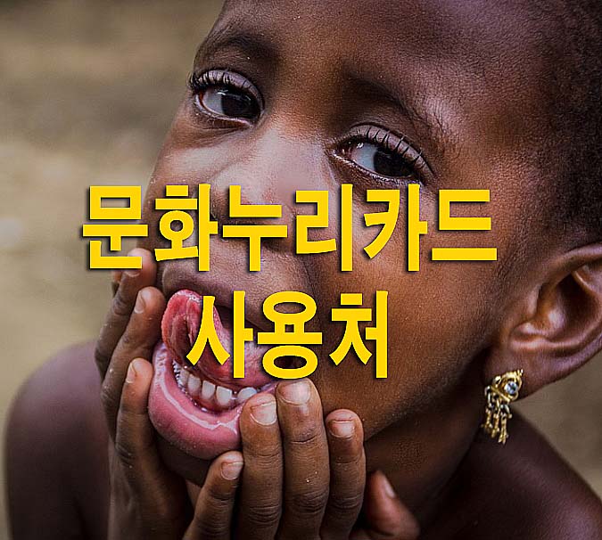  2023 문화누리카드 사용처, 잔액조회, 발급방법