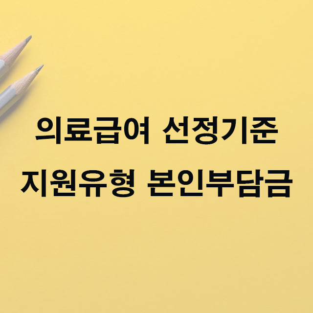 의료급여 수급권자 선정기준