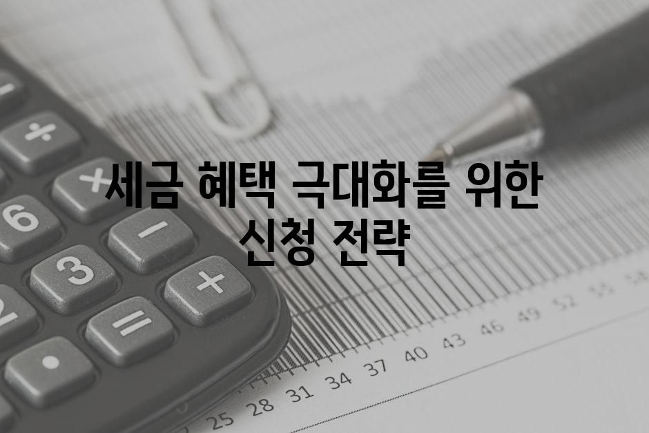 세금 혜택 극대화를 위한 신청 전략