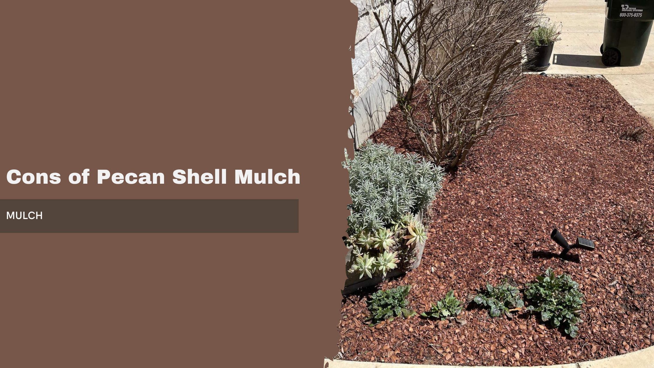 Cons of Pecan Shell Mulch