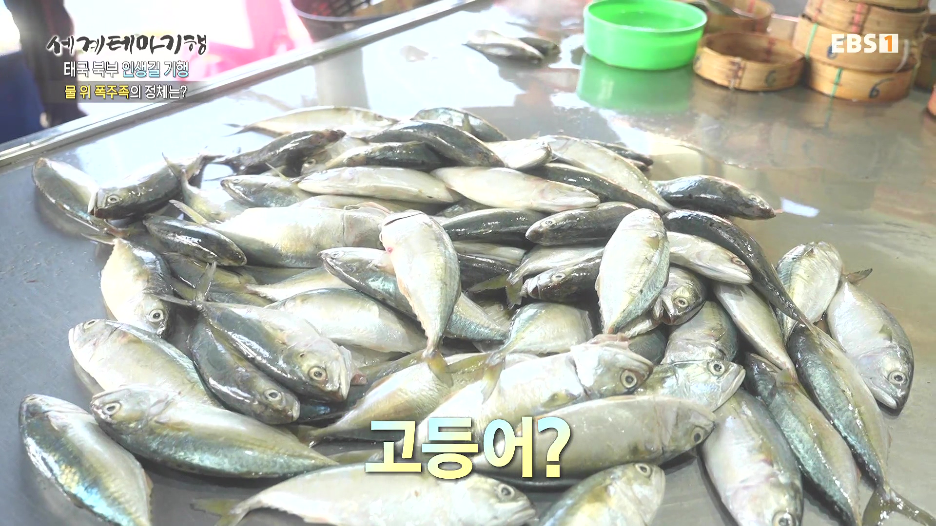 세계테마기행.240221.태국 북부 인생길 기행 3부. 인생 맛, 손맛0P.mp4_20240806_201447.649.jpg