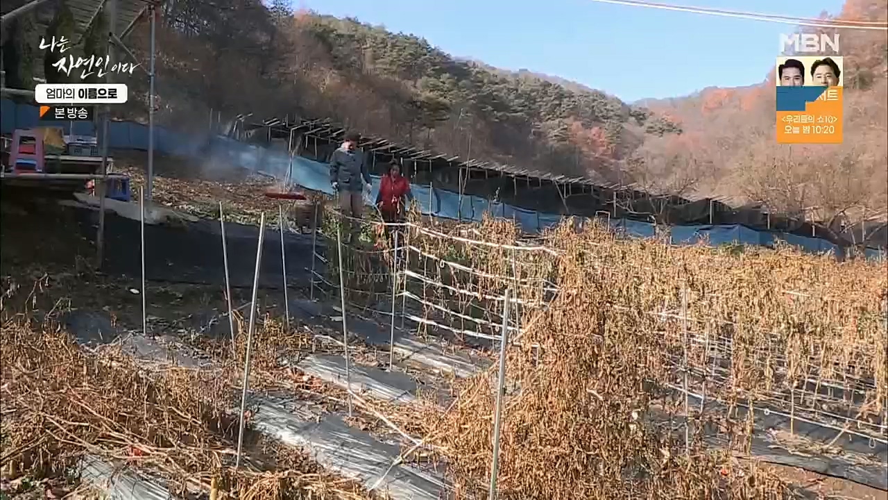 나는 자연인이다.E531.221208p.H264-F1RST.mp4_20221208_204245.605.jpg