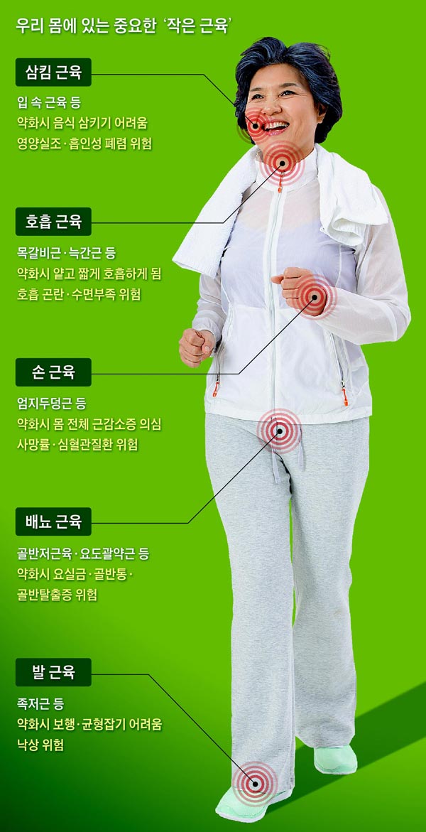  온 몸에 작은 근육을 잘 키워야 100세까지 산다