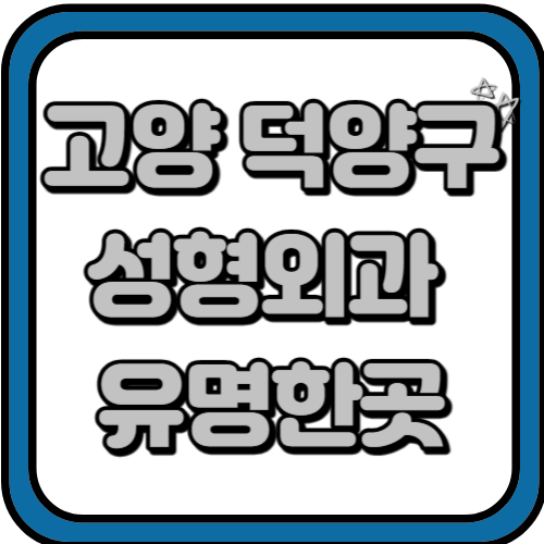 고양시 덕양구 성형외과 병원 추천 BEST 3