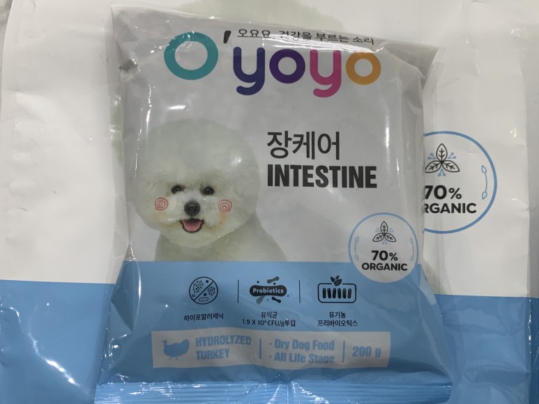 강아지와 강아지 혈변 확인하고