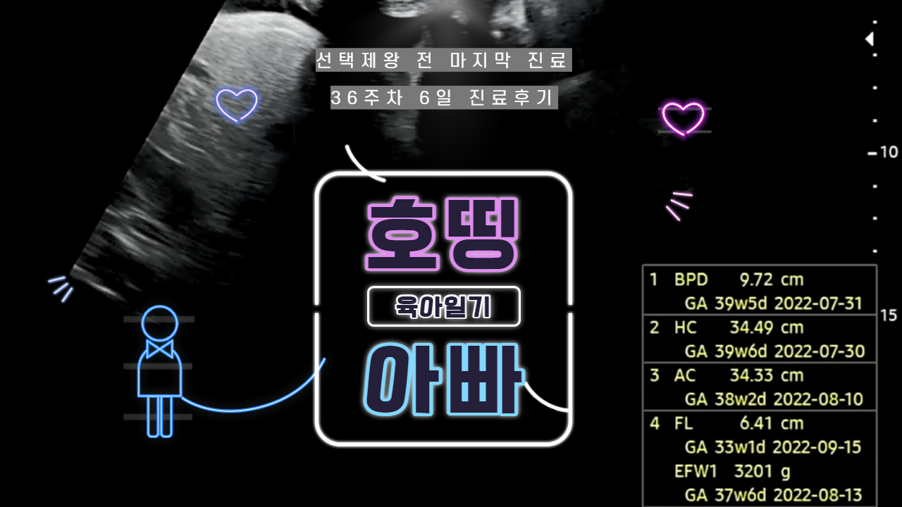  36주6일차 제왕절개 전 마지막 태아 초음파 진료 (제왕수술 전 태아에게 쓰는 편지)
