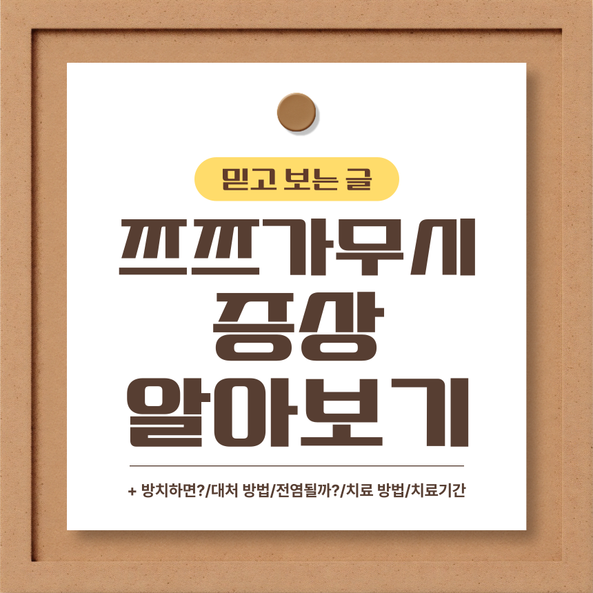  쯔쯔가무시 증상 알아보기