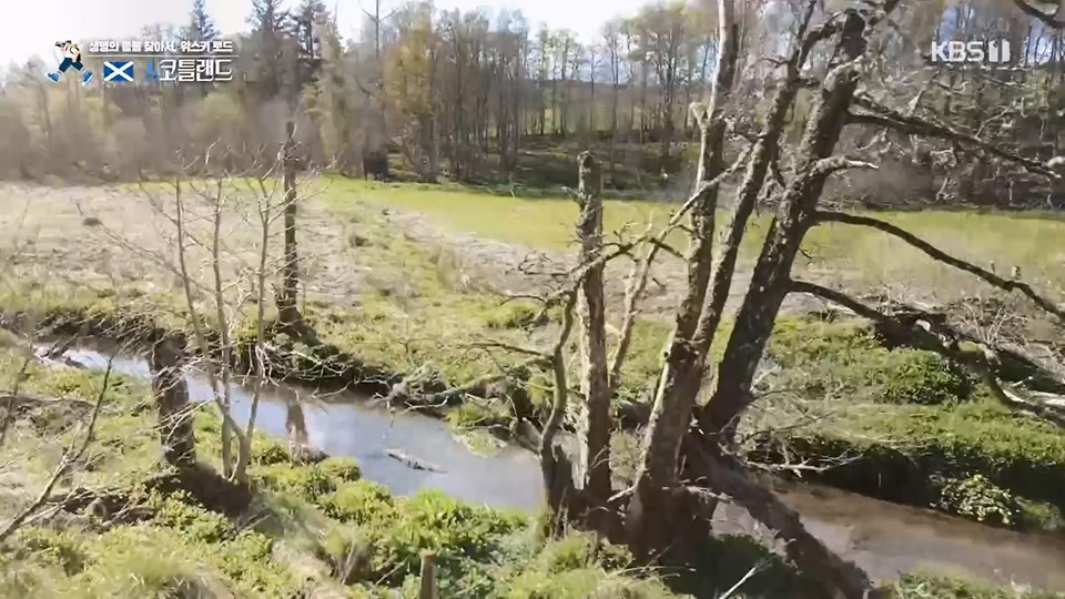 걸어서 세계속으로.E796.230617p.H264-F1RST.mp4_20230623_212628.905.jpg