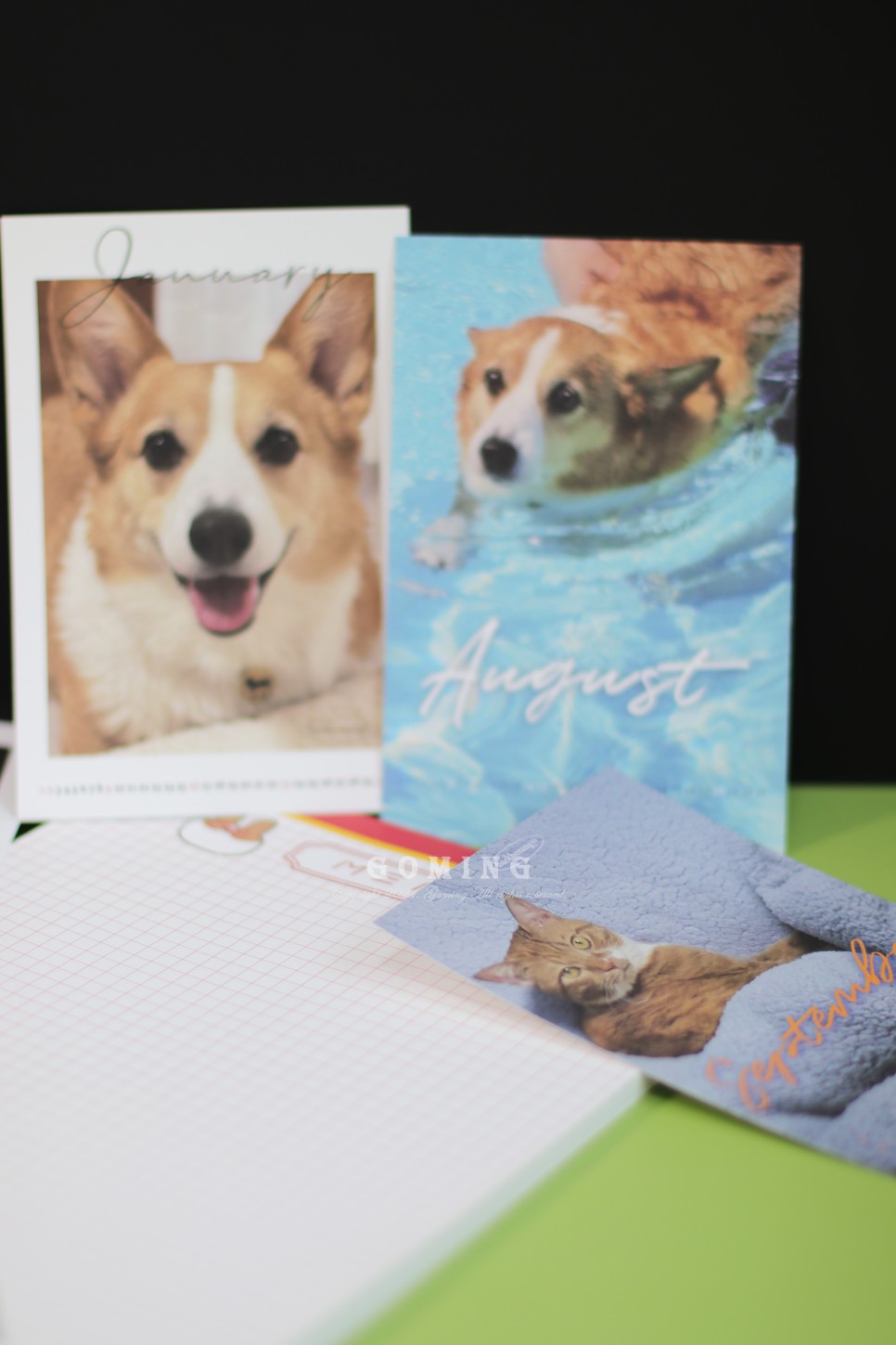 백호랑이 주문, 이웃집의 죽도록 사랑해!!!! 13