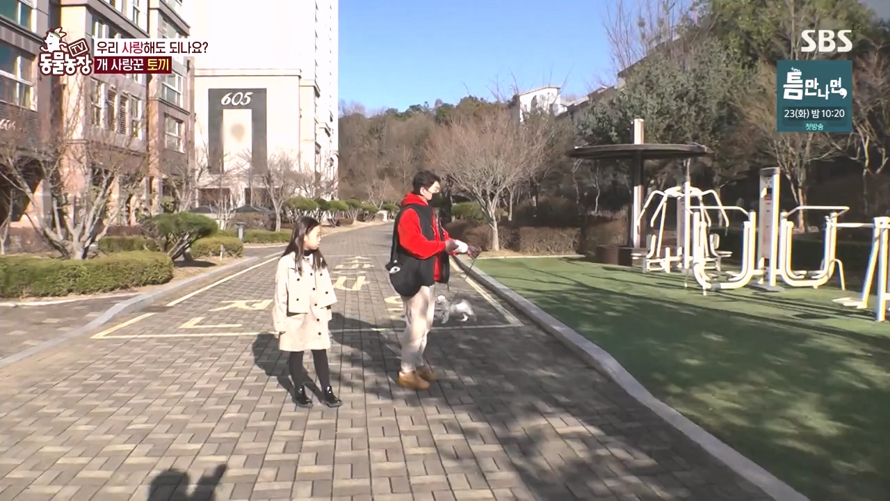 TV 동물농장.E1167.240415p-NEXT.mp4_20240414_160920.479.jpg
