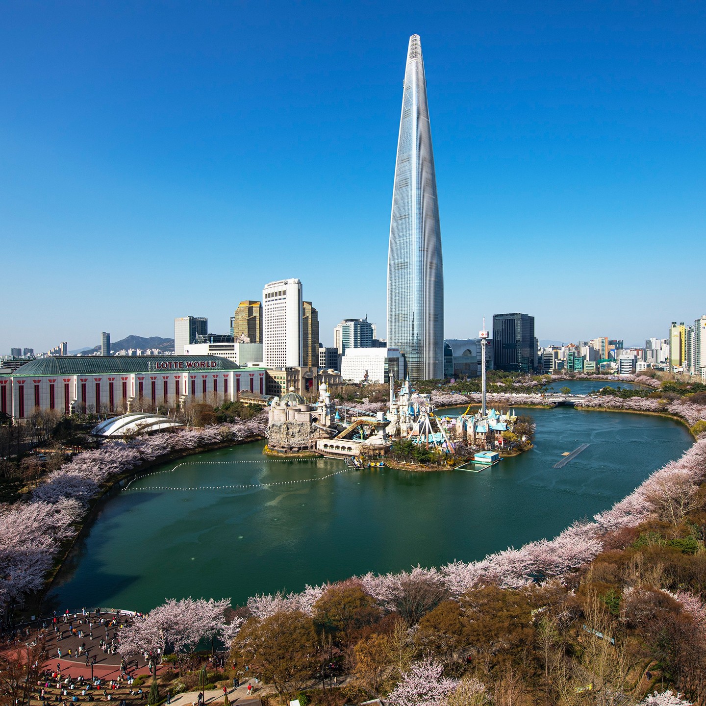 2024 서울 벚꽃명소 개화시기