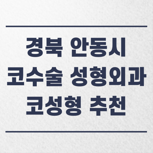 경북 안동시 코수술 성형외과 추천 코성형 잘하는 곳 가격 비용 금액 후기.png