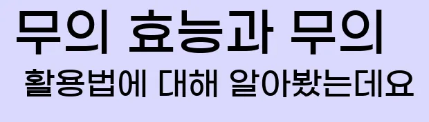  무의 효능과 무의 활용법에 대해 알아봤는데요