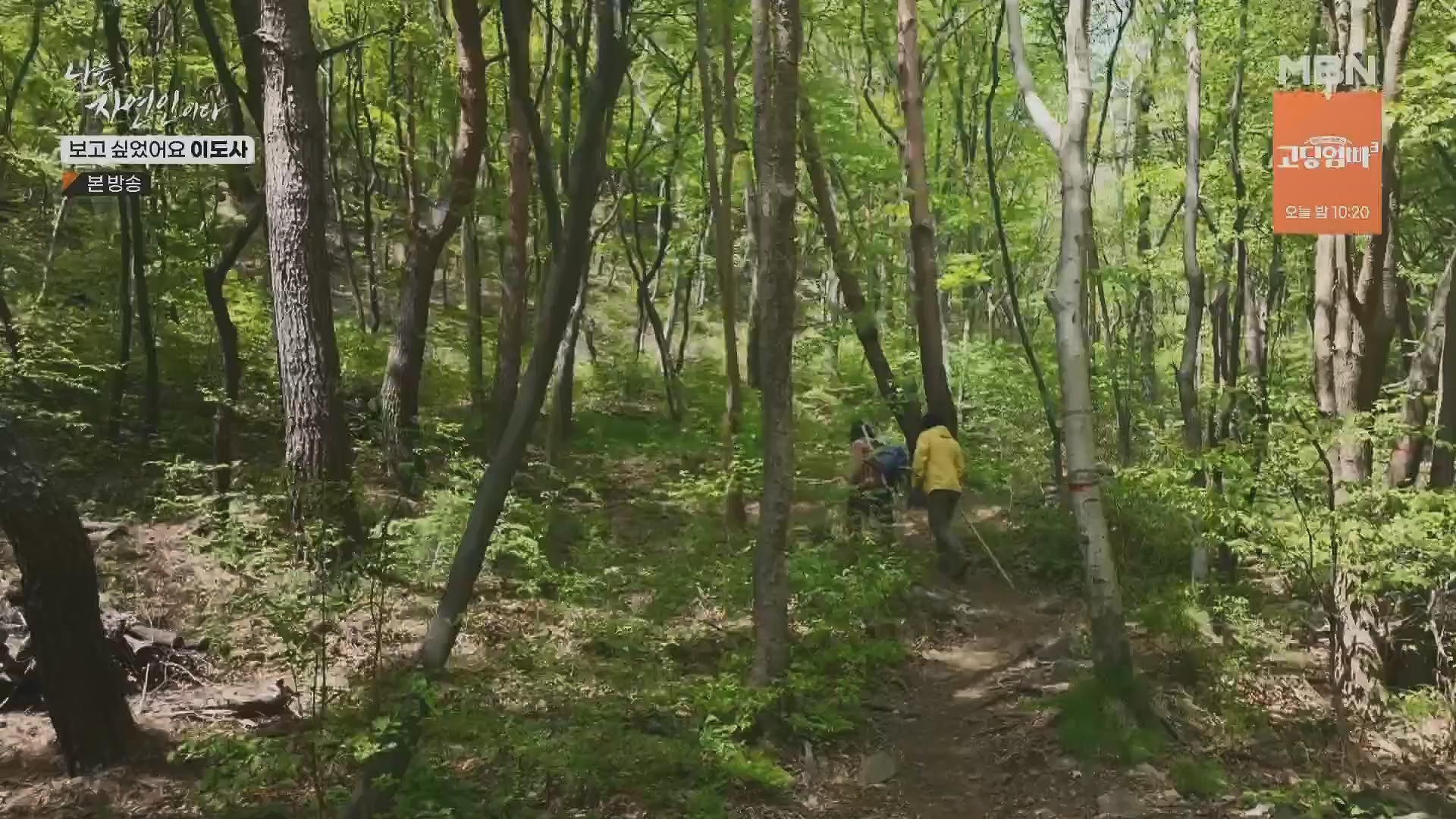 나는 자연인이다.E553.230510p.H264-F1RST.mp4_20230511_195236.439.jpg