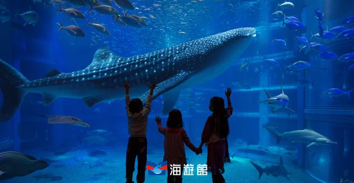 오사카 아쿠라리움 카이유칸 Osaka Aquarium Kaiyukan