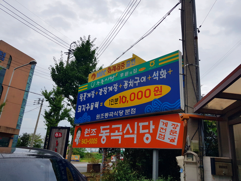 광주 맛집 여행 간장게장 동곡식당