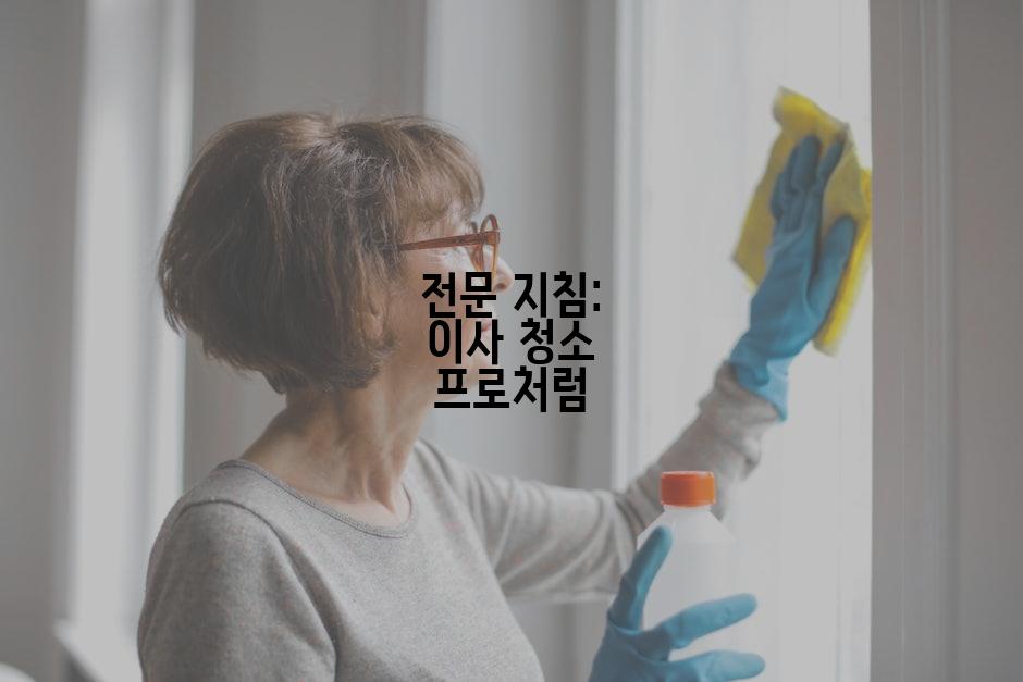 전문 지침: 이사 청소 프로처럼