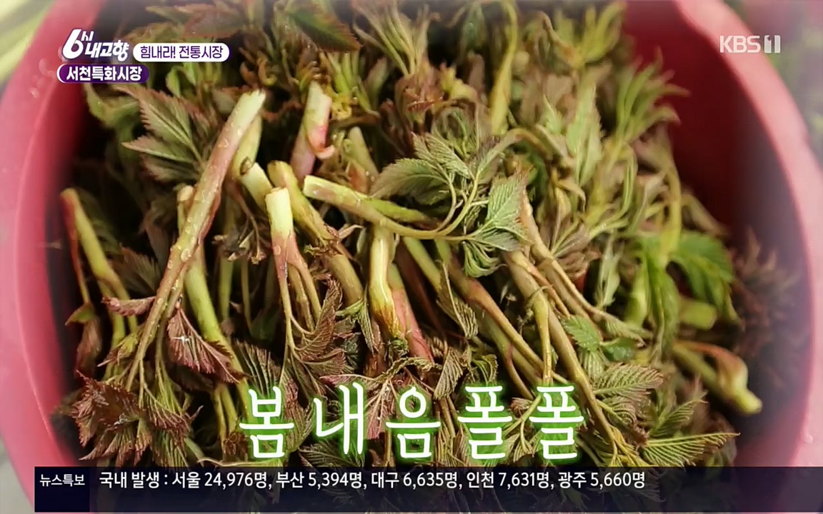 6시 내고향.E7511.220415p.H264-F1RST.mp4_20220425_174120.309.jpg
