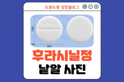 후라시닐정 낱알 사진