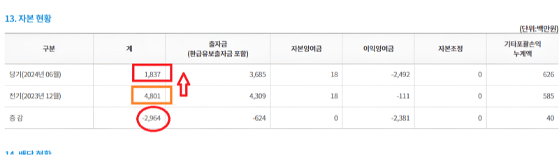 13번 항목, "자본현황" 항목 이미지
