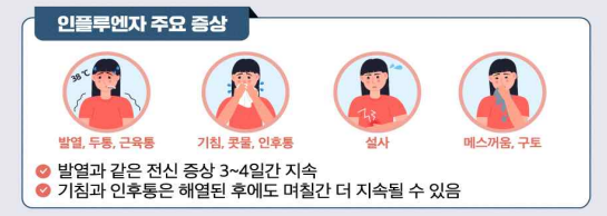 인플루엔자 주요 증상