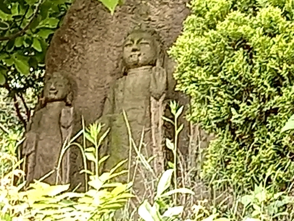 img.jpg