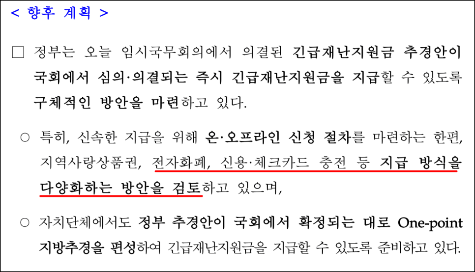 민생회복 소비쿠폰 계획