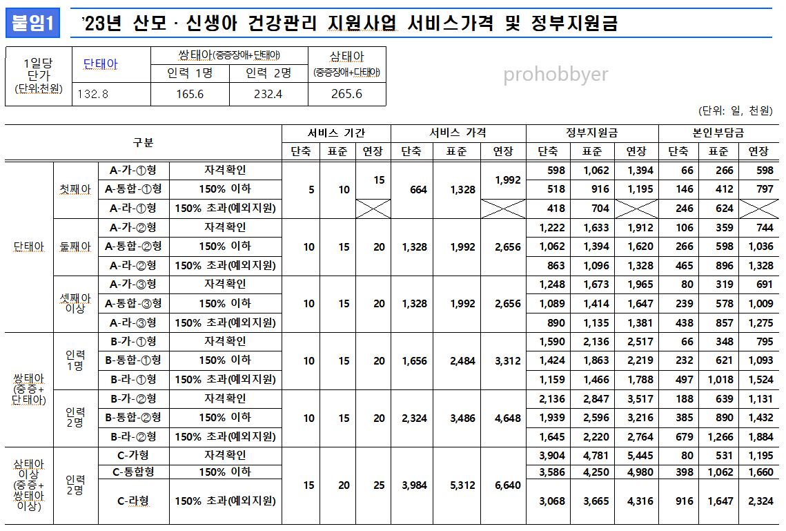 산후도우미-정부지원금