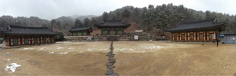  명주 삼산리 소나무&강릉 만월산 현덕사