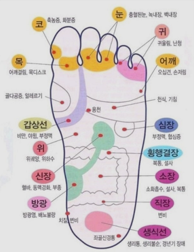 발바닥 지압점