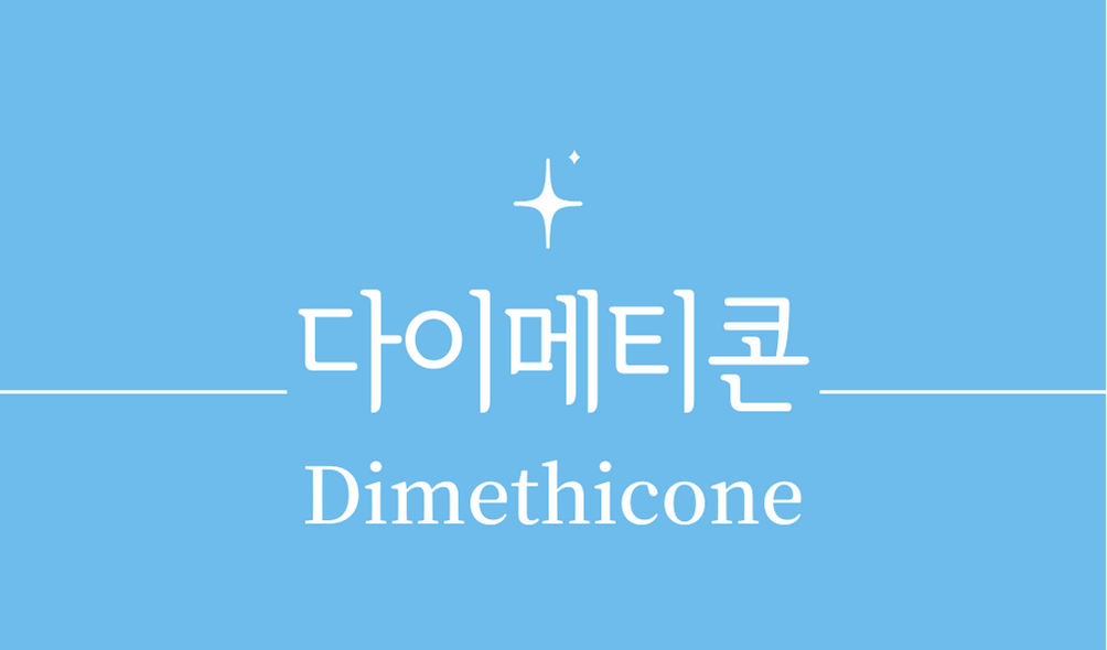 &#39;다이메티콘 디메티콘(Dimethicone)&#39;