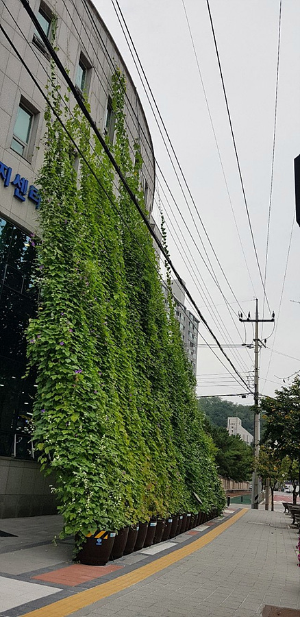 kbs1tv 다큐온 KBS1TV // 회천3동 생태그늘막 13