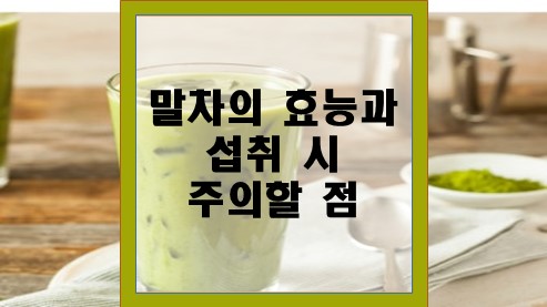 말차의-효능과-섭취-시-주의할-점
