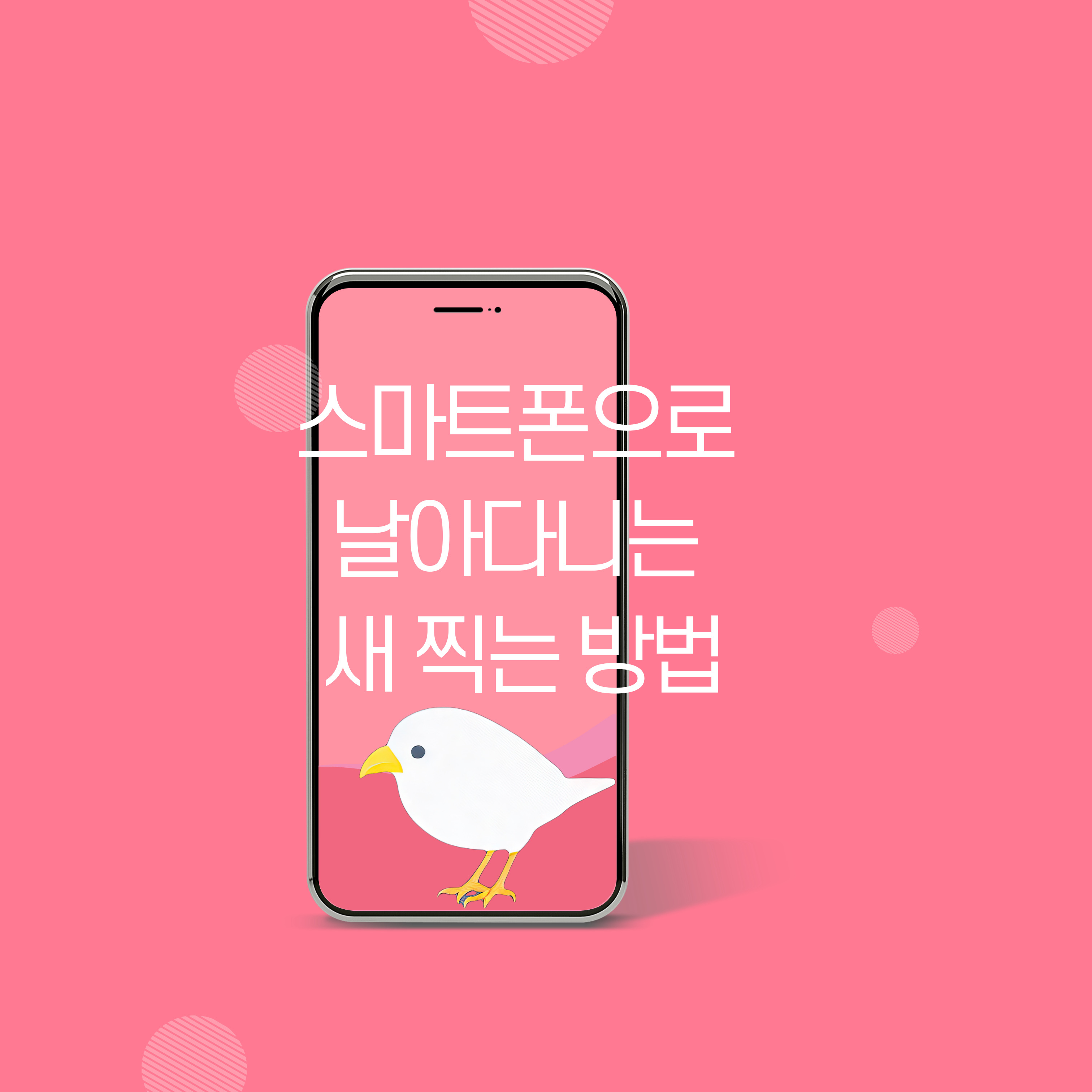 날아다니는 새 스마트폰 찍는 방법
