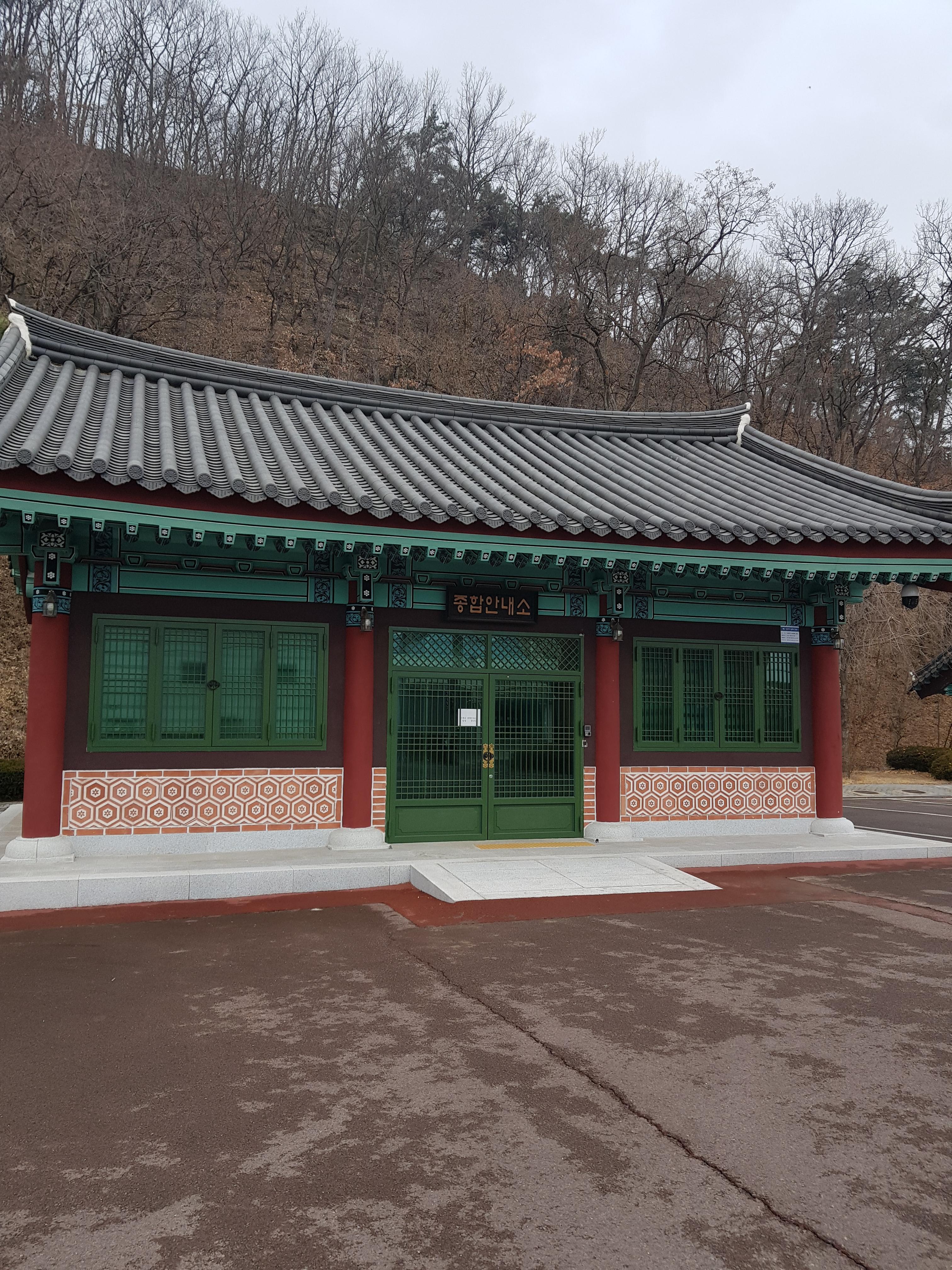  대구인근 마실 임고서원 은행나무