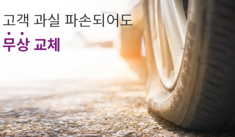 넥센타이어 스노우타이어 렌탈 가격&amp;#44; 종류&amp;#44; 주요 성능 안내 2025