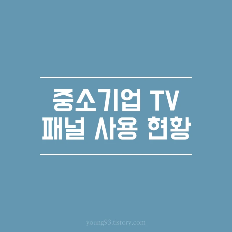  중소기업 TV 화면 패널 사용 현황(회사별 제조업체 비교 정리, 개인적인 중소기업 TV 구매후기)