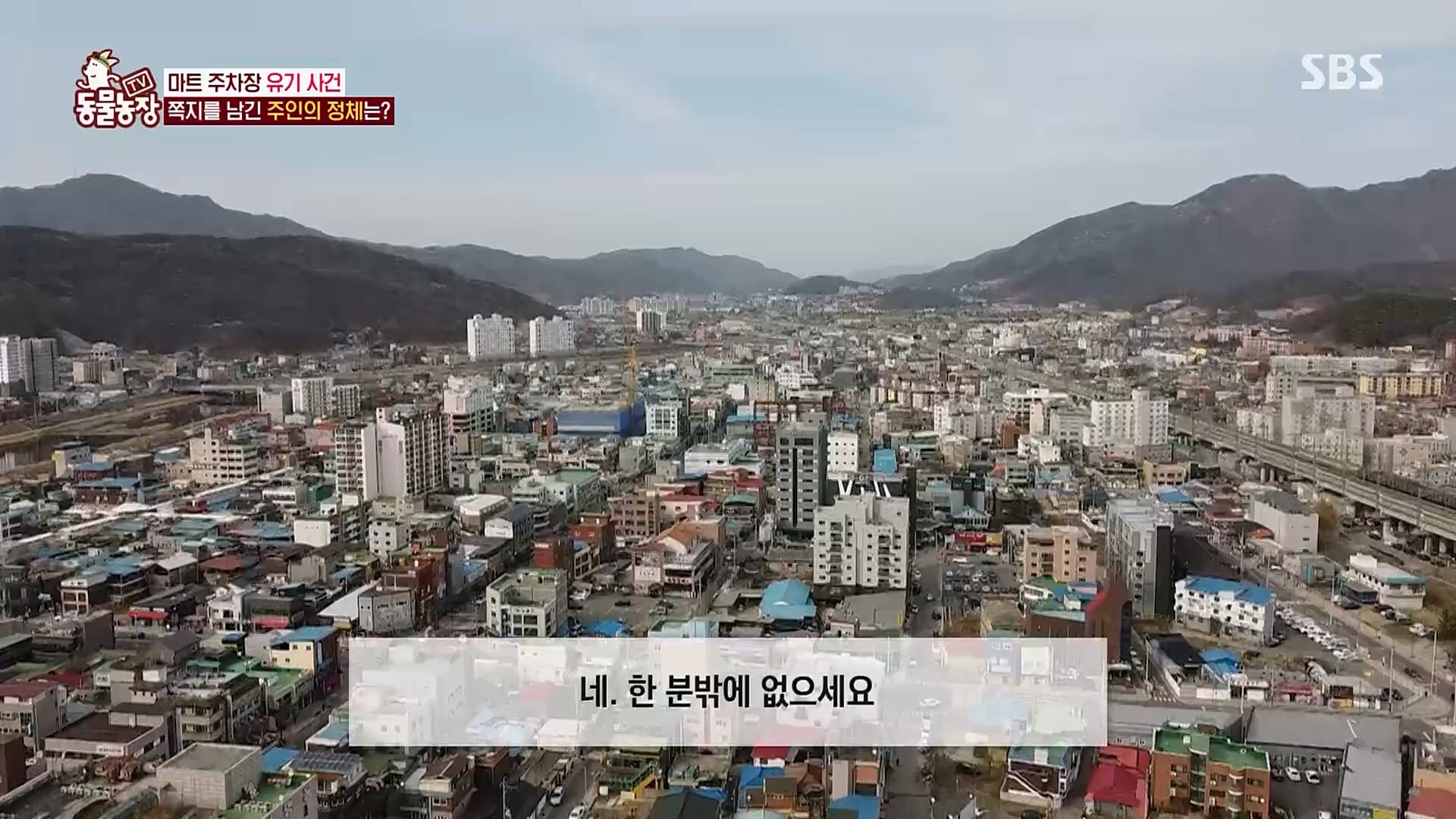 TV 동물농장.E1115.230409p.H264-F1RST.mp4_20230409_173037.729.jpg