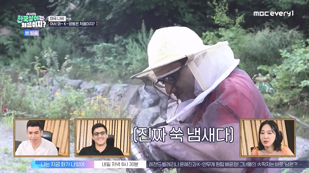 어서와 한국살이는 처음이지.E16.230905p-NEXT.mp4_20230906_204036.439.jpg