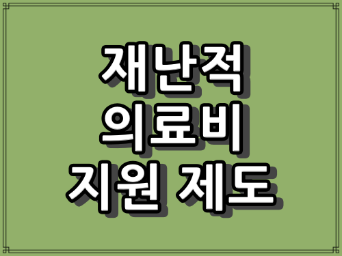 재난의료비 제도