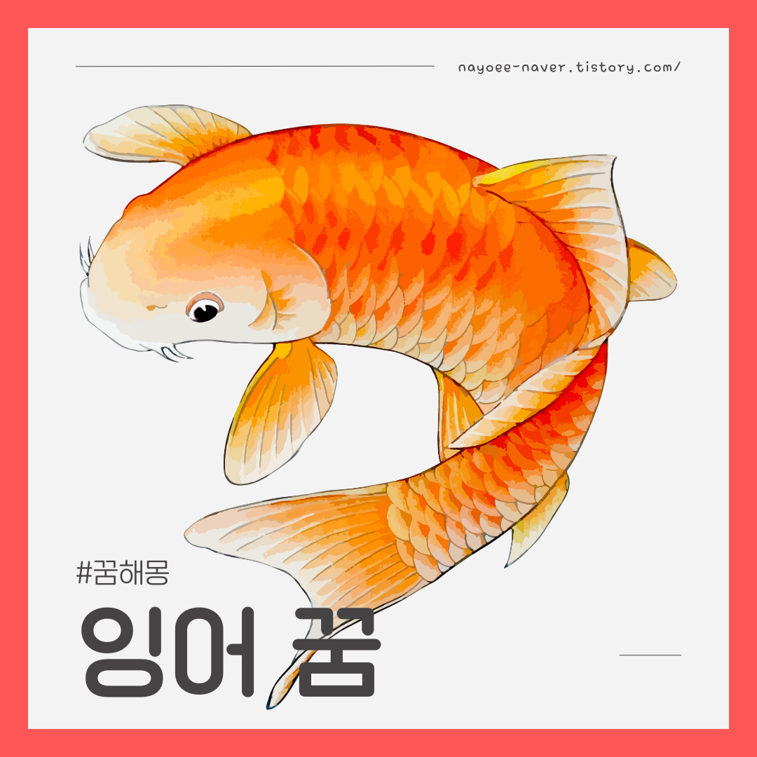 [꿈해몽] 잉어 꿈 / 황금잉어 꿈 / 잉어떼 꿈