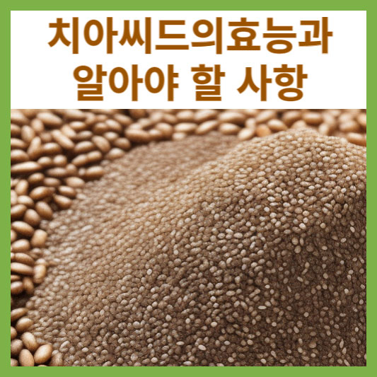 치아씨드