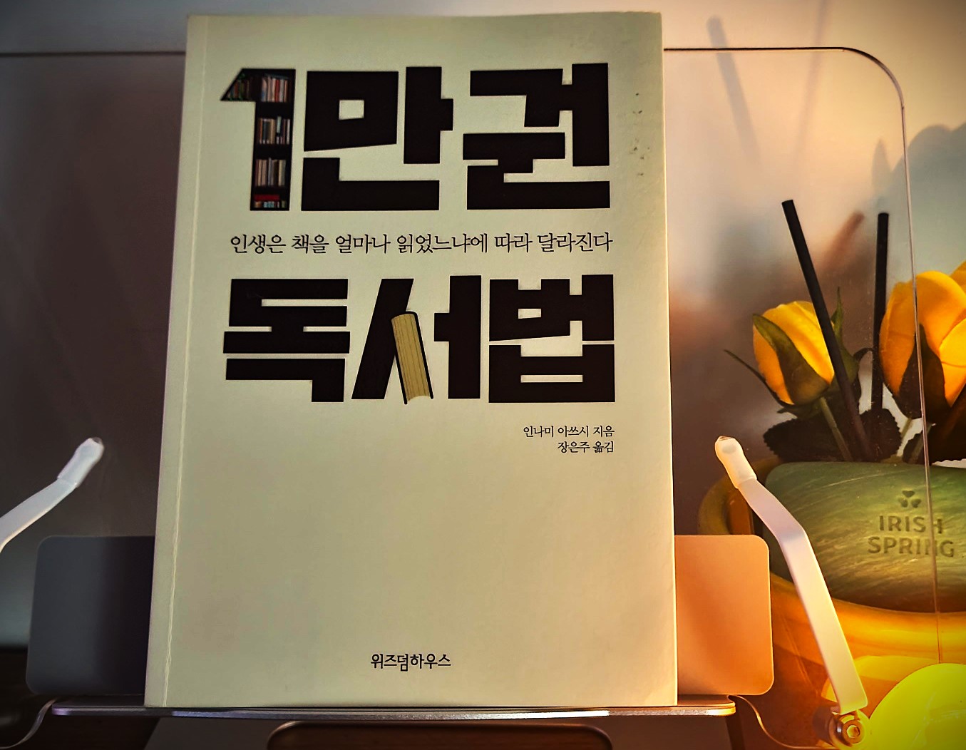 1만권 독서법